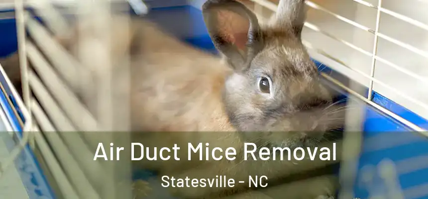 Air Duct Mice Removal Statesville - NC