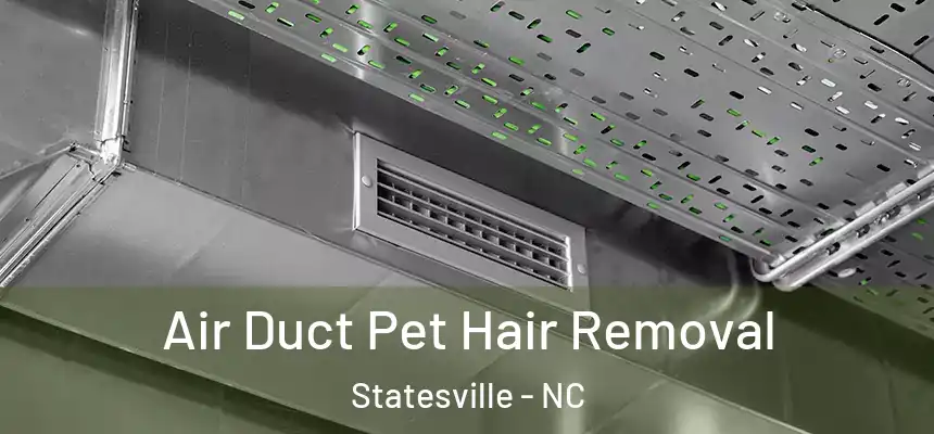 Air Duct Pet Hair Removal Statesville - NC
