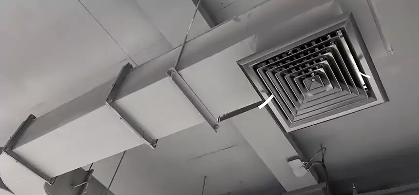 Restorative Allergy Relief Vent Cleaning – Coil, Blower & Housing Detail in Statesville