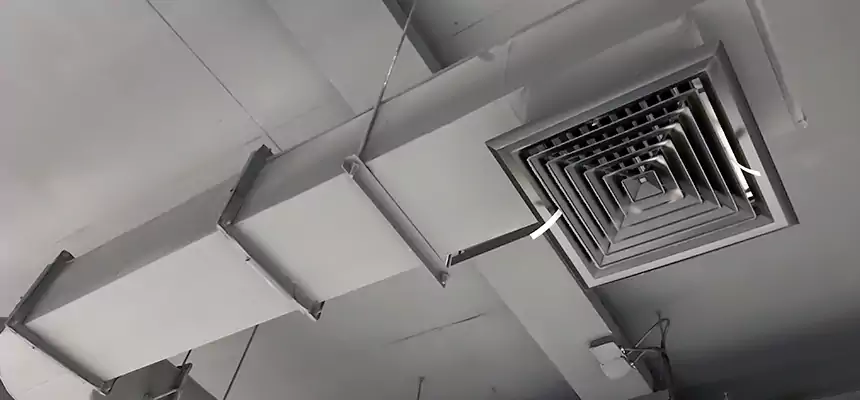 Our Pest Removal From Ducts Services in Statesville, NC