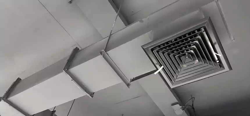 Our Rodent Droppings In Vents Services in Statesville, NC