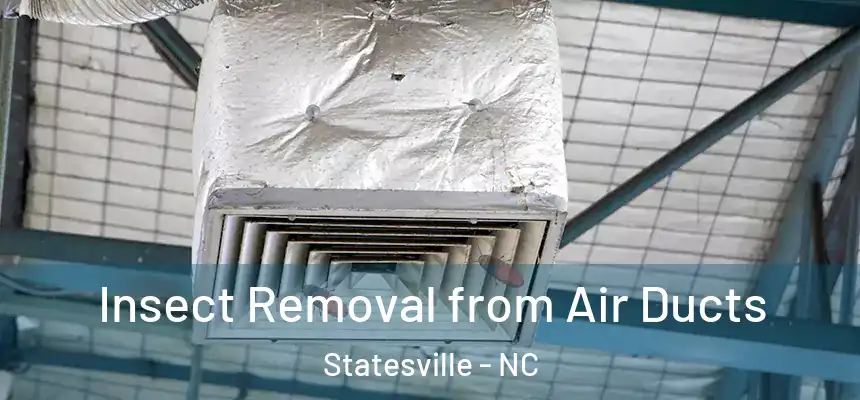 Insect Removal from Air Ducts Statesville - NC