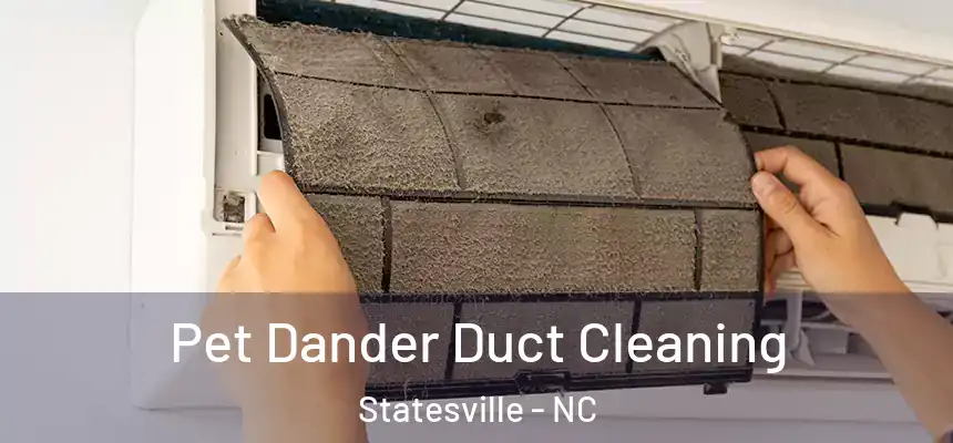 Pet Dander Duct Cleaning Statesville - NC
