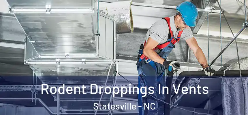  Rodent Droppings In Vents Statesville - NC