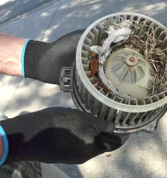 About Air Duct Mice Removal in Statesville, NC