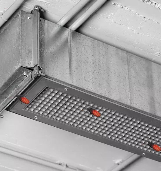 Affordable Insect Removal from Air Ducts in Statesville, NC