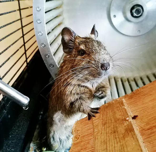 Why Homeowners & Businesses Trust Us Statesville, NC